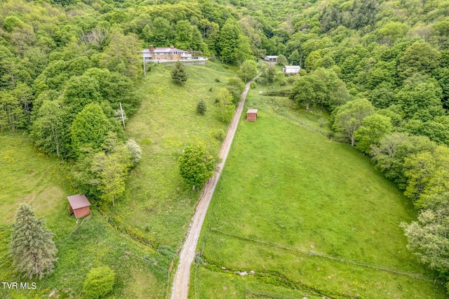 1010 Heaton Creek Rd, Roan Mountain, TN 37687 - aerial view with a forest view