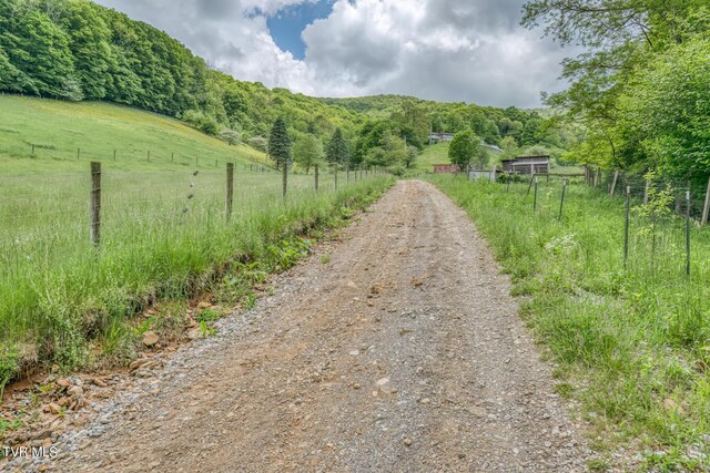 1010 Heaton Creek Rd, Roan Mountain, TN 37687 - view of road with a rural view and a forest view