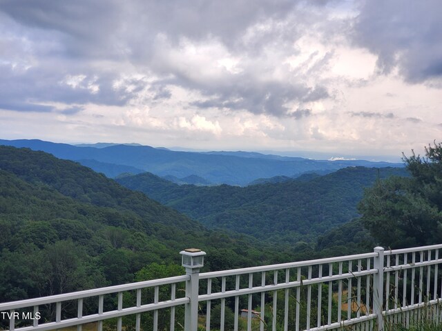 1010 Heaton Creek Rd, Roan Mountain, TN 37687 - mountain view with a view of trees