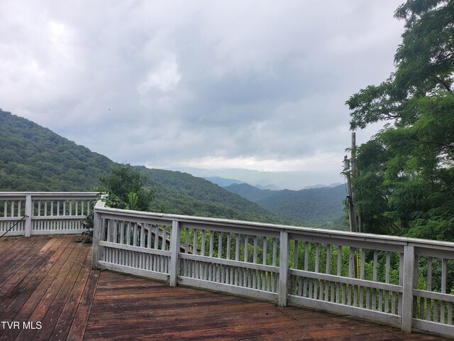 1010 Heaton Creek Rd, Roan Mountain, TN 37687 - mountain view
