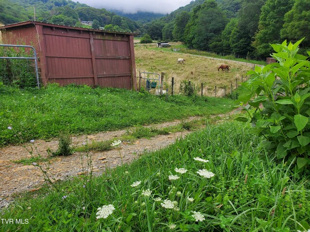 1010 Heaton Creek Rd, Roan Mountain, TN 37687 - view of yard featuring a forest view and fence