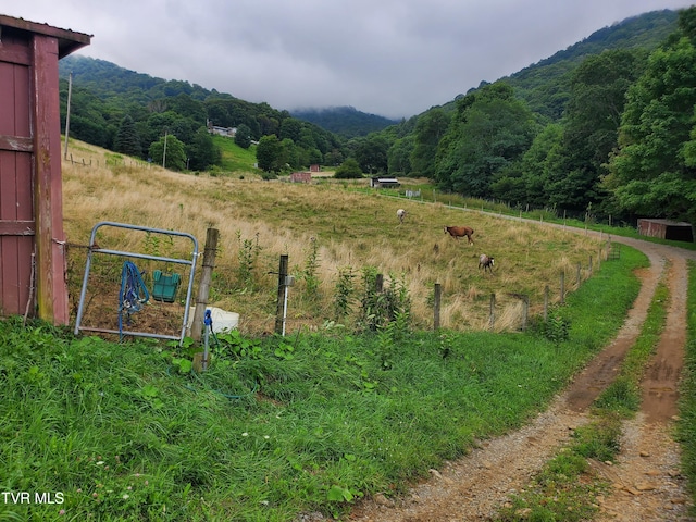 1010 Heaton Creek Rd, Roan Mountain, TN 37687 - view of property's community featuring a forest view, a mountain view, and a rural view