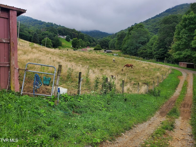 1010 Heaton Creek Rd, Roan Mountain, TN 37687 - surrounding community featuring a mountain view and a view of trees