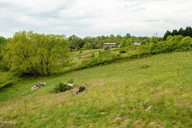 110 Ferry Rd, Surgoinsville, TN 37873 - photo 42