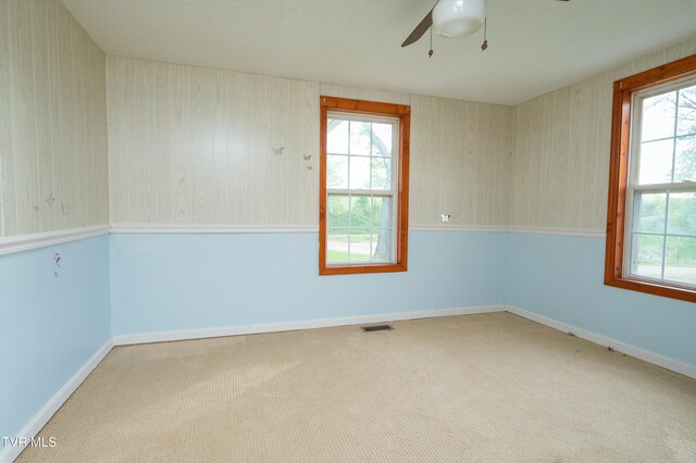 110 Ferry Rd, Surgoinsville, TN 37873 - photo 14