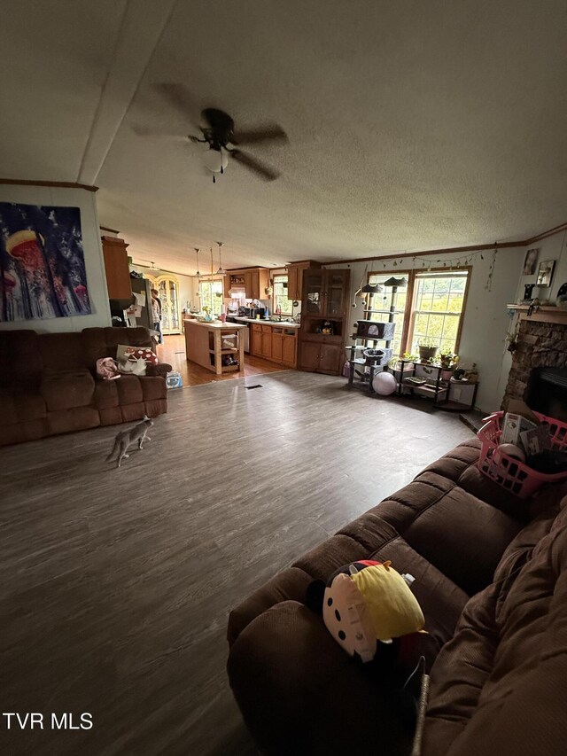 110 Ferry Rd, Surgoinsville, TN 37873 - photo 33