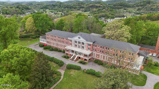 bird's eye view