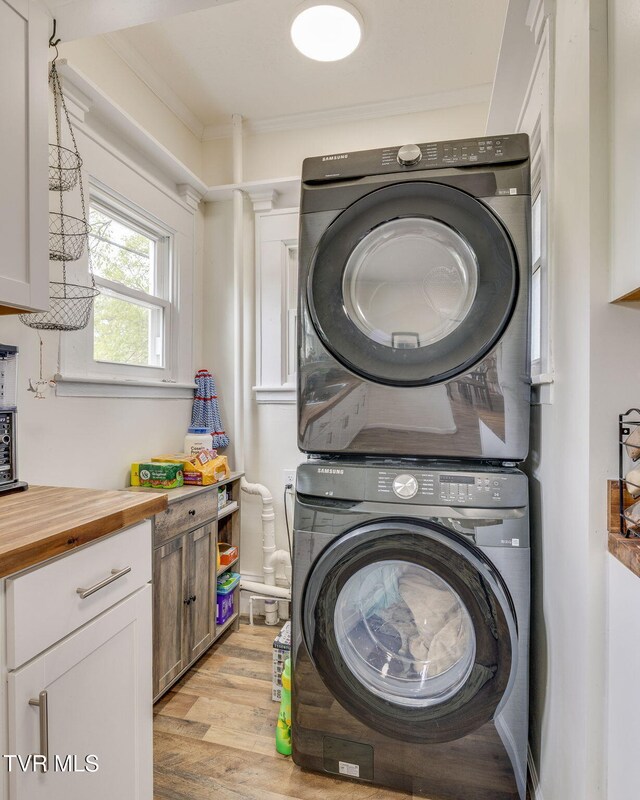 718 Wilson Ave, Johnson City, TN 37604 - laundry area featuring stacked washer / drying machine, crown molding, laundry area, and light wood-style floors