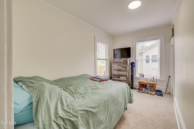 718 Wilson Ave, Johnson City, TN 37604 - carpeted bedroom with crown molding and baseboards