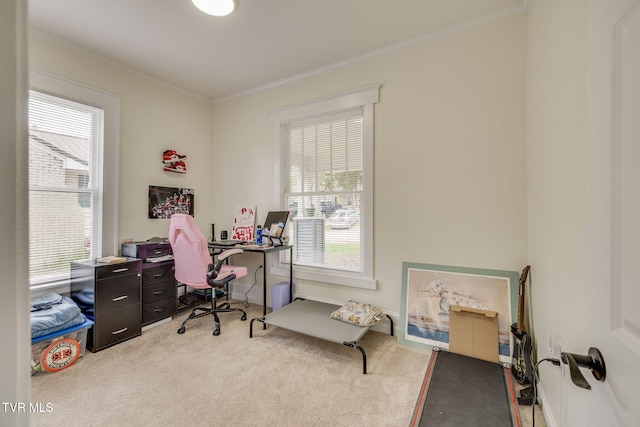 718 Wilson Ave, Johnson City, TN 37604 - home office featuring crown molding and light colored carpet