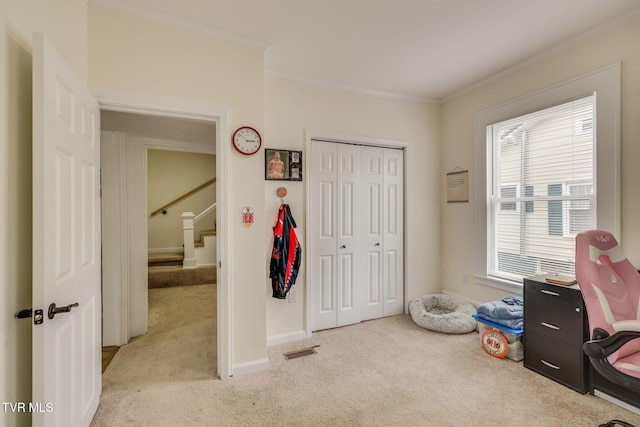 718 Wilson Ave, Johnson City, TN 37604 - playroom with ornamental molding, visible vents, light colored carpet, and baseboards