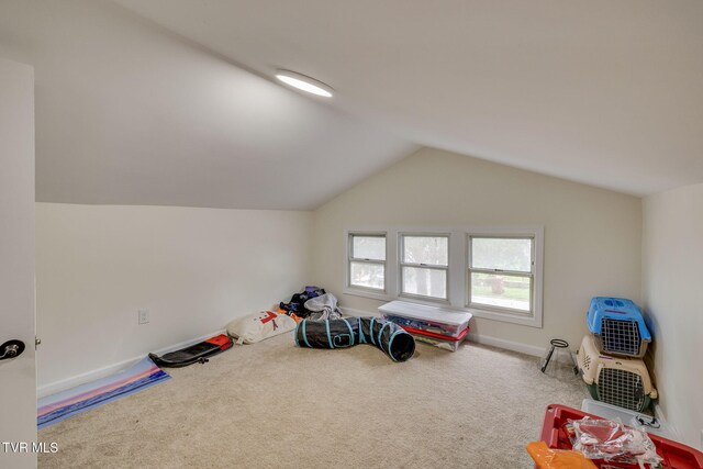 718 Wilson Ave, Johnson City, TN 37604 - game room with baseboards, vaulted ceiling, and carpet floors