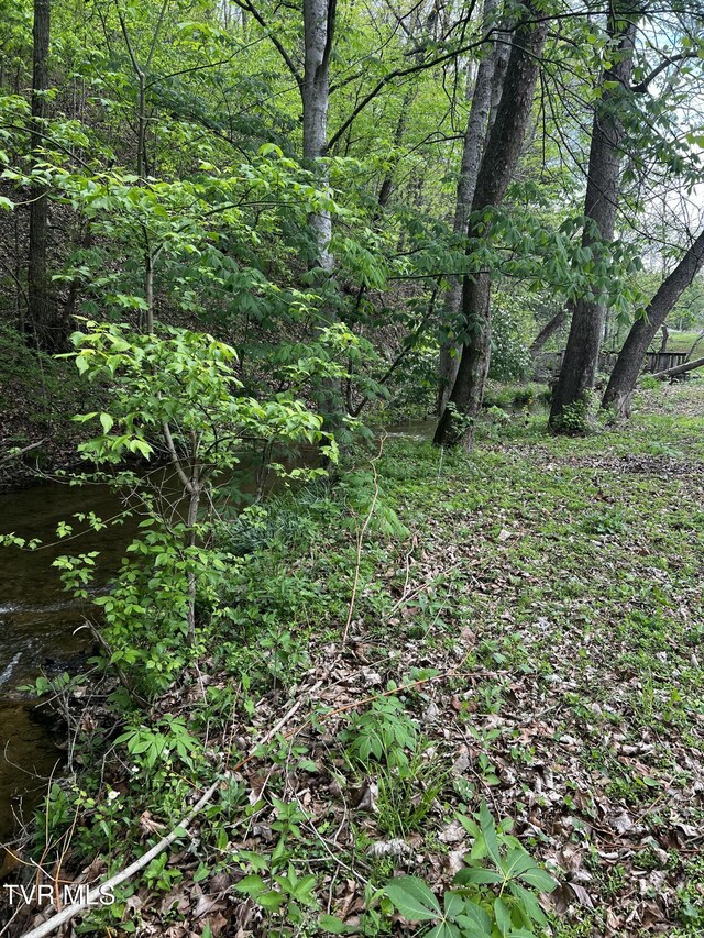 view of local wilderness with a wooded view