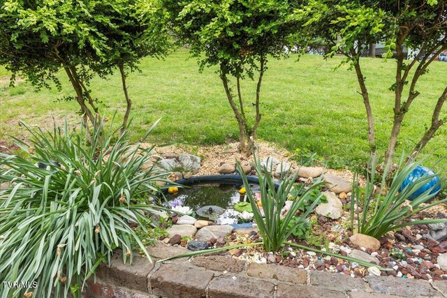 1902 Lamont St, Kingsport, TN 37664 - view of landscape with a small pond