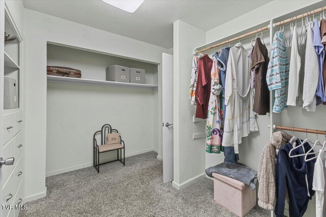 1902 Lamont St, Kingsport, TN 37664 - spacious closet with carpet floors