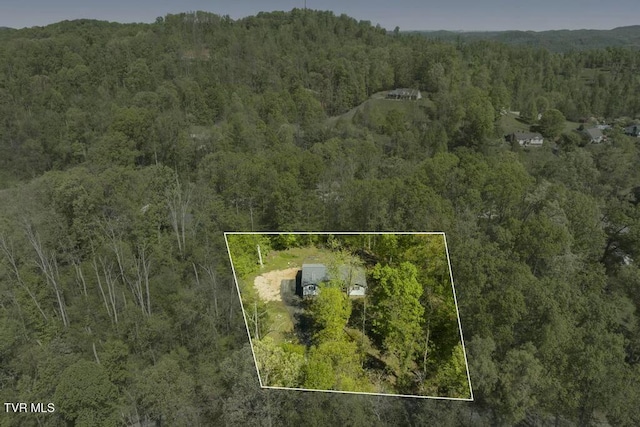 113 Constitution Ave, Elizabethton, TN 37643 - photo 3