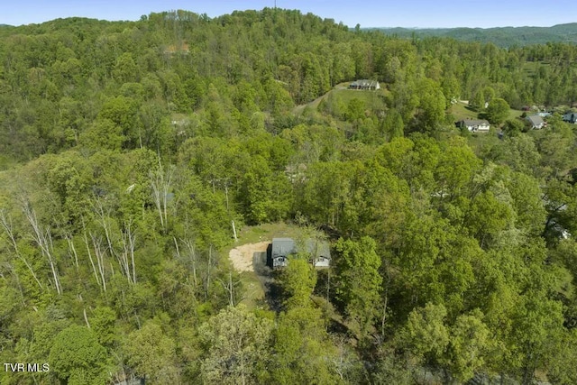113 Constitution Ave, Elizabethton, TN 37643 - photo 9