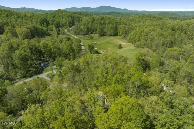 113 Constitution Ave, Elizabethton, TN 37643 - photo 57