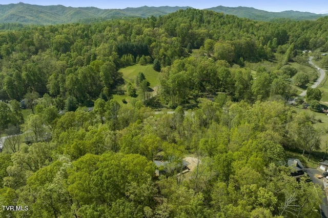 113 Constitution Ave, Elizabethton, TN 37643 - photo 54