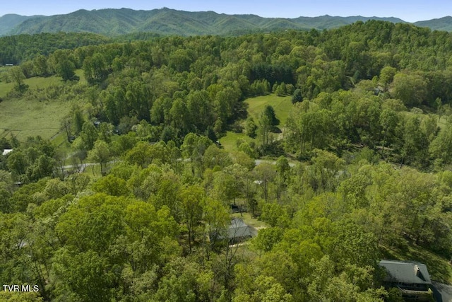 113 Constitution Ave, Elizabethton, TN 37643 - photo 52