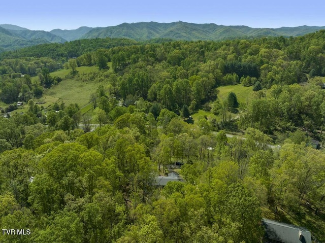 113 Constitution Ave, Elizabethton, TN 37643 - photo 51