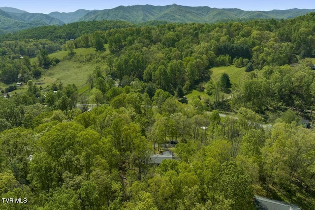 113 Constitution Ave, Elizabethton, TN 37643 - photo 55