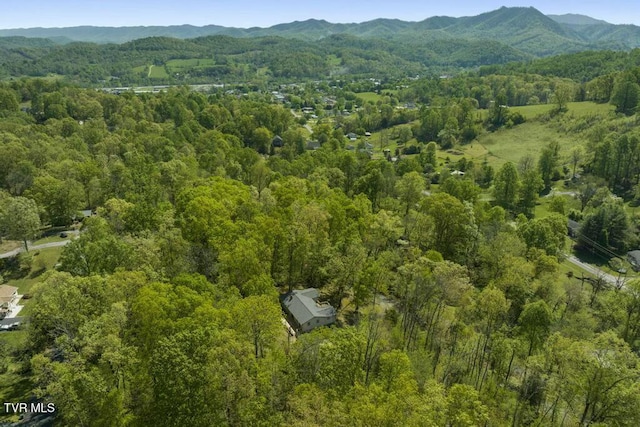 113 Constitution Ave, Elizabethton, TN 37643 - photo 53