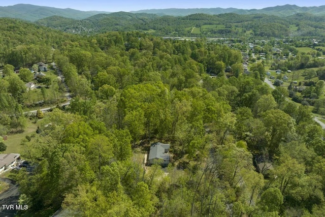 113 Constitution Ave, Elizabethton, TN 37643 - photo 48