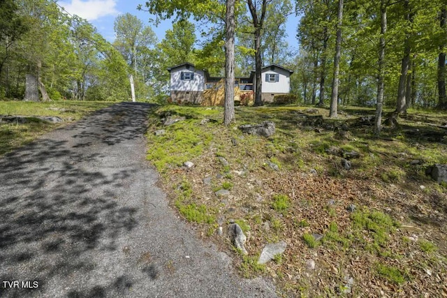 113 Constitution Ave, Elizabethton, TN 37643 - photo 35