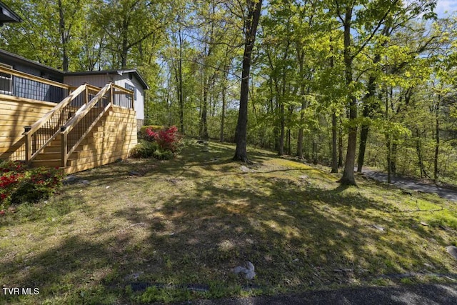 113 Constitution Ave, Elizabethton, TN 37643 - photo 38