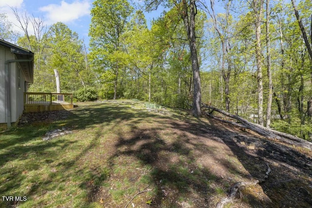 113 Constitution Ave, Elizabethton, TN 37643 - photo 41