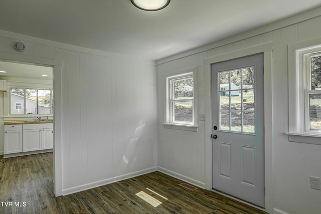 entryway with baseboards, a sink, wood finished floors, and a healthy amount of sunlight