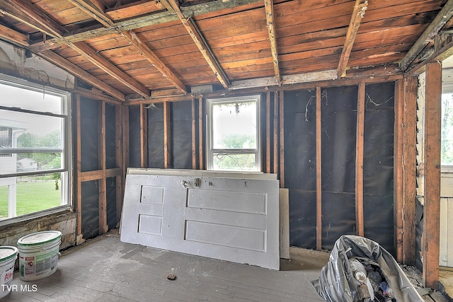 miscellaneous room with vaulted ceiling
