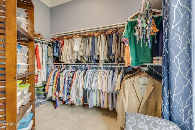 spacious closet with carpet flooring
