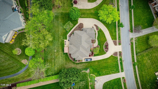 drone / aerial view