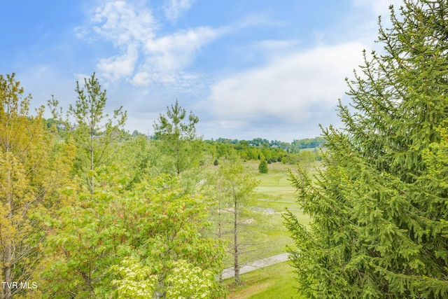 view of local wilderness