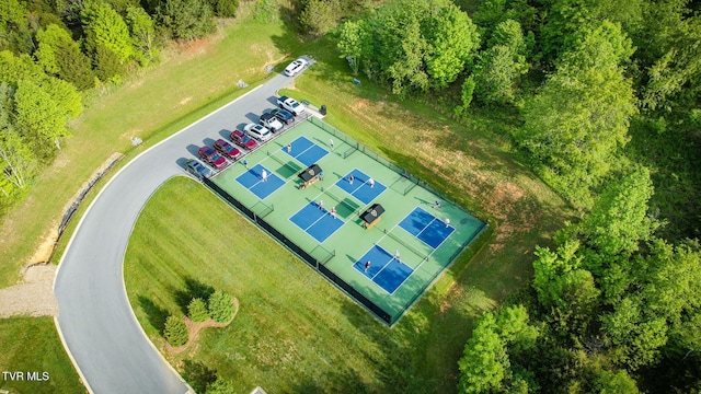 bird's eye view