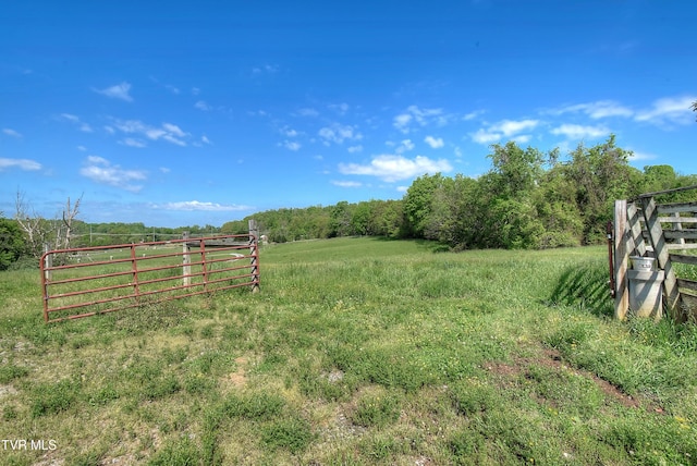 168 Degrasse Ln, Johnson City, TN 37601 - photo 5