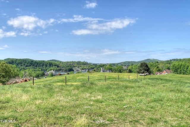 168 Degrasse Ln, Johnson City, TN 37601 - photo 18