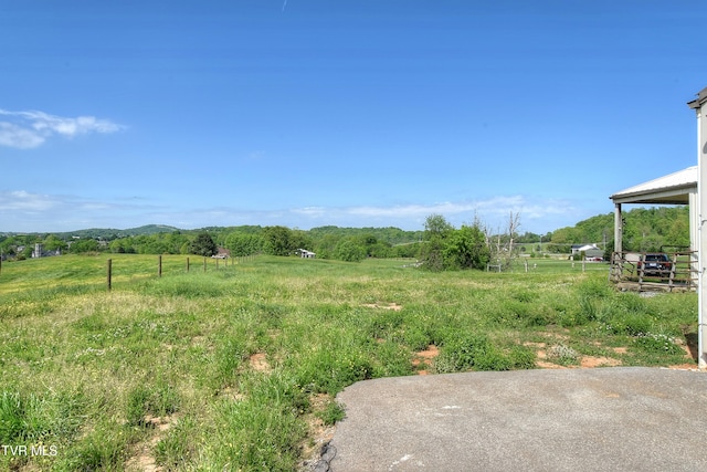 168 Degrasse Ln, Johnson City, TN 37601 - photo 19