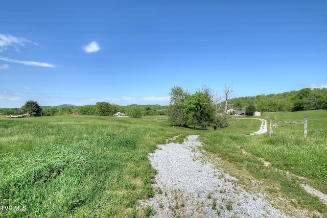 168 Degrasse Ln, Johnson City, TN 37601 - photo 22