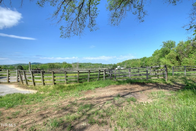 168 Degrasse Ln, Johnson City, TN 37601 - photo 25