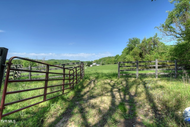 168 Degrasse Ln, Johnson City, TN 37601 - photo 26