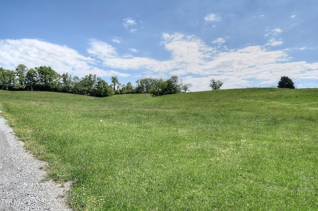 168 Degrasse Ln, Johnson City, TN 37601 - photo 29