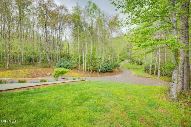 view of yard featuring a view of trees