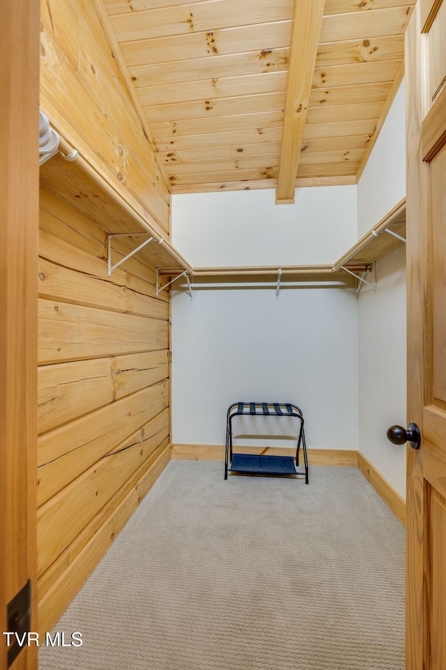 spacious closet with carpet