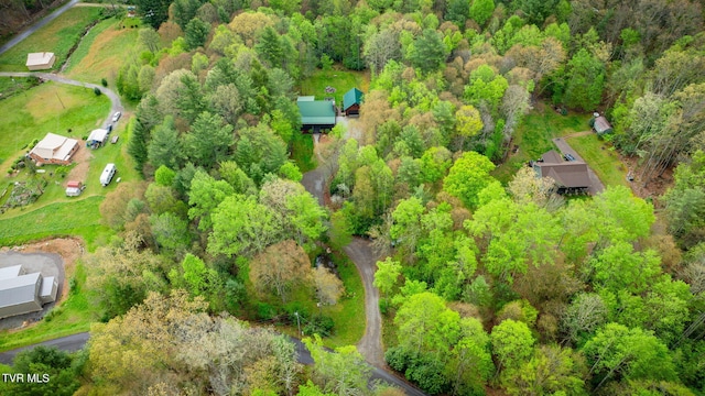 drone / aerial view