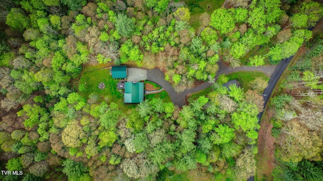 drone / aerial view
