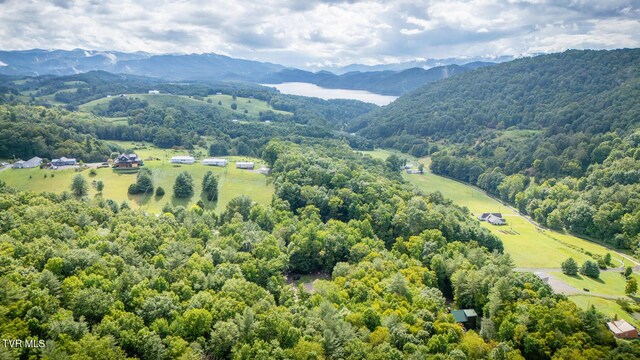 birds eye view of property featuring a mountain view and a wooded view