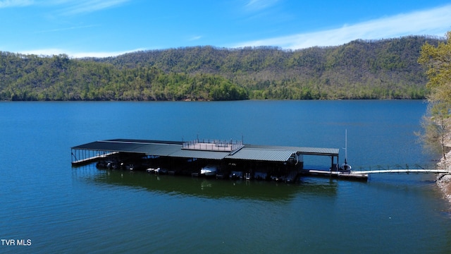 dock area featuring a water view and a forest view
